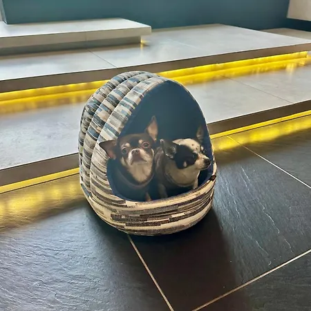 Hotel Central 케치케메트