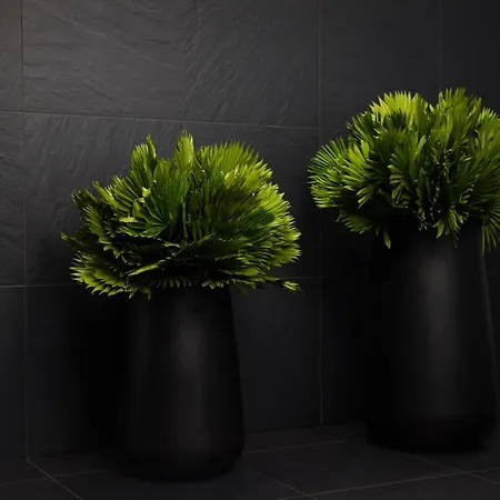 Hotel Central Hotel 3*