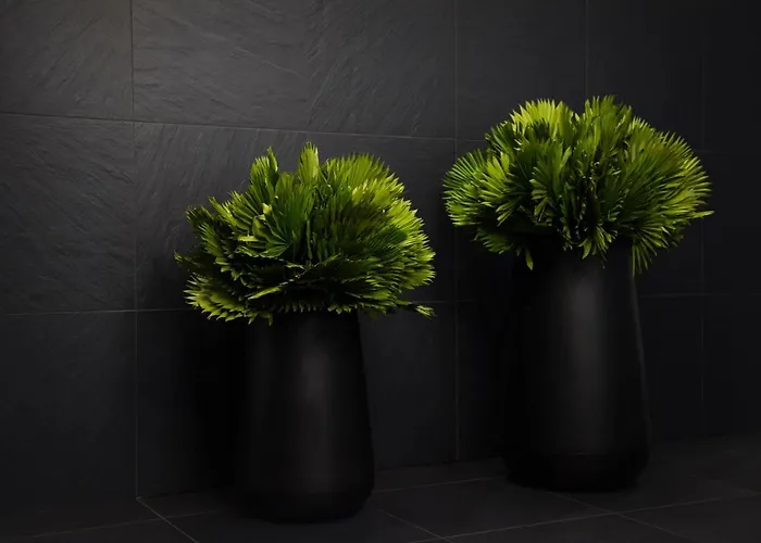 Hotel Central 호텔 3*